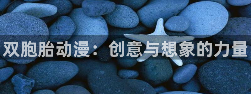 动漫天堂电影：双胞胎动漫：创意与想象的力量