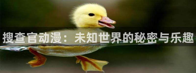 天堂动漫网页入口