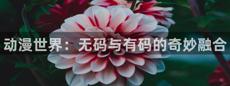 天堂动漫网站入口免费