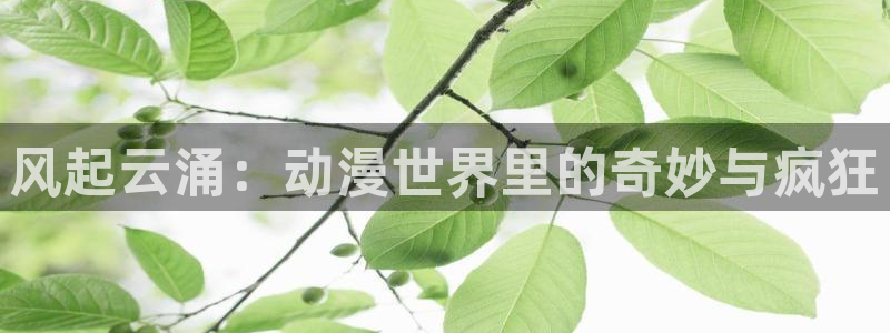 美妙天堂动漫樱花动漫