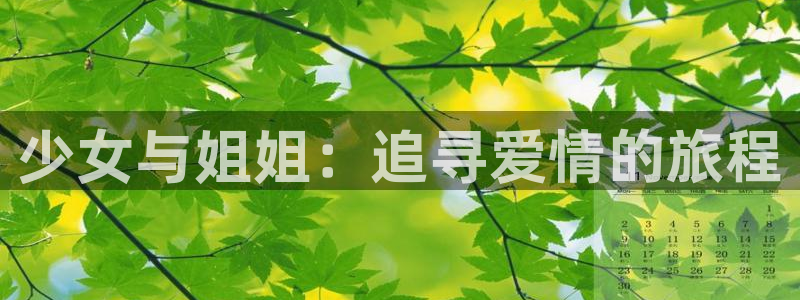 动漫天堂网：少女与姐姐：追寻爱情的旅程