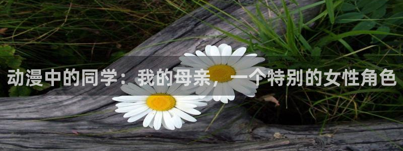 天堂动漫官方官网：动漫中的同学：我的母亲，一个特别的女性角色