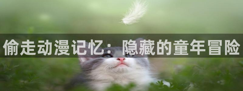 天堂动漫网官网正版入口：偷走动漫记忆：隐藏的童年冒险