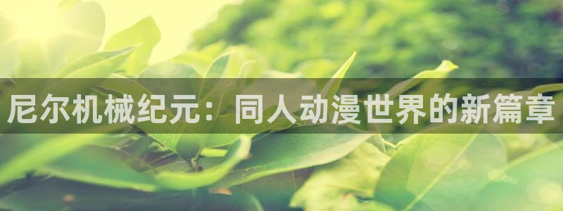 禁漫动漫天堂：尼尔机械纪元：同人动漫世界的新篇章