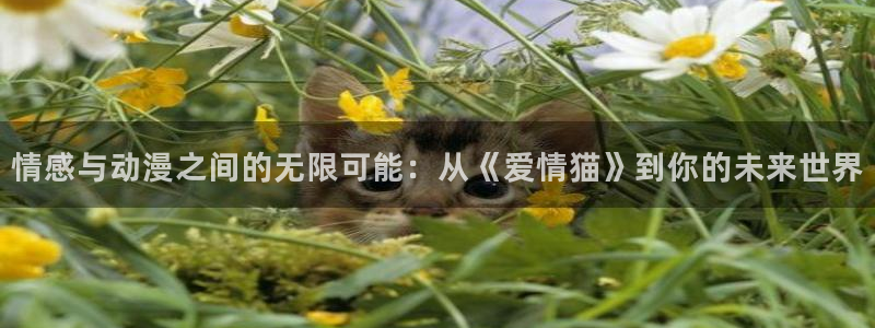 禁漫天堂动漫在线看：情感与动漫之间的无限可能：从《爱情猫》到你的未来世界